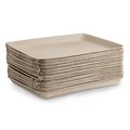 Hygloss Products Hygloss Products HYG6981 Pulp Collage Trays; 9 x 11 in. - Pack of 25 HYG6981